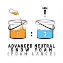 ValetPro Advanced Neutral Snow Foam 5 L