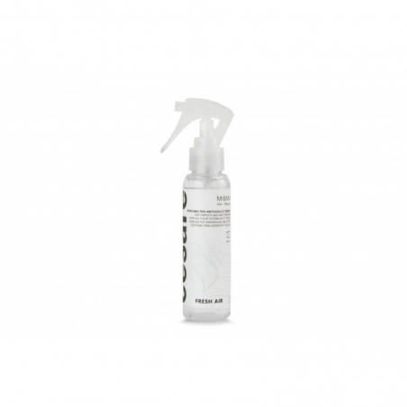 Mr&Mrs Fragrance Cesare Fresh Air Spray 100 ml