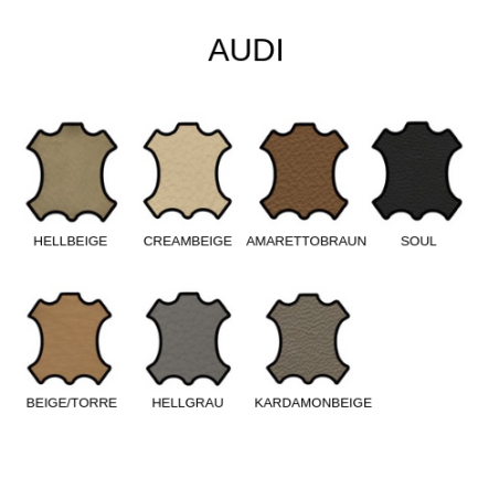 Colourlock Audi Color Restoration Set Beige /  Torre 50 ml