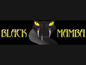 Logo: Black Mamba